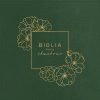 Reina Valera 1960 Biblia para ilustrar, verde símil piel