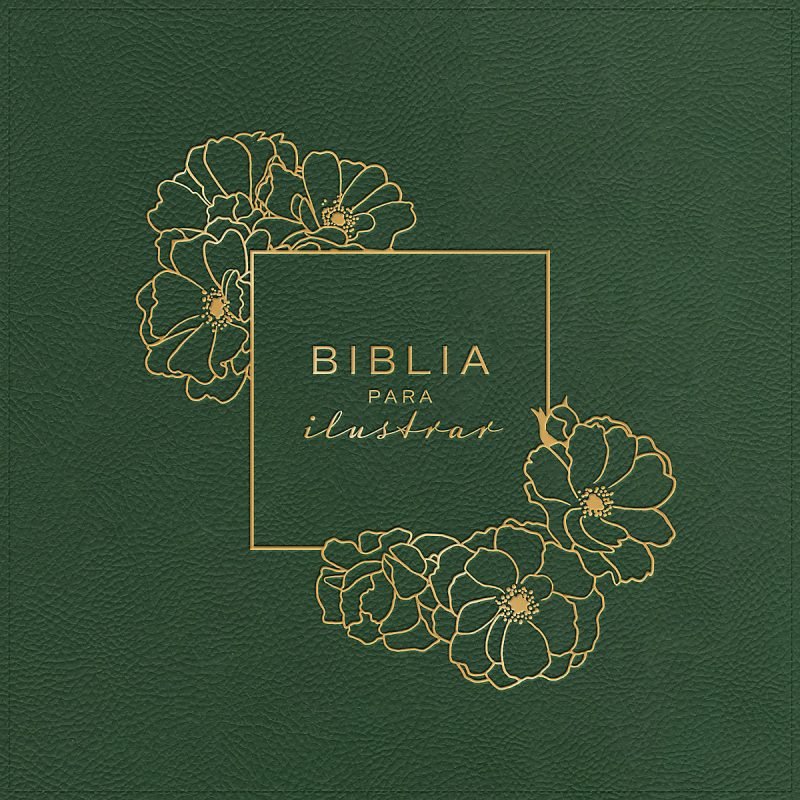 Reina Valera 1960 Biblia para ilustrar, verde símil piel