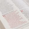 Biblia Peshitta. Símil piel, caoba duotono - Image 3