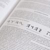 Biblia Peshitta. Símil piel, caoba duotono - Image 5